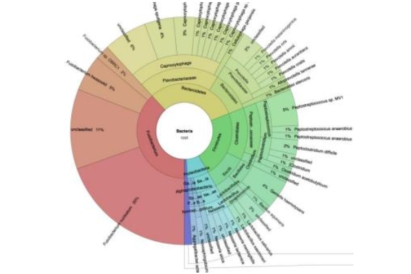 Krona 分析 Krona 分析