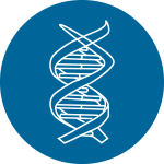 繪制GO、KEGG分類(lèi)富集圖