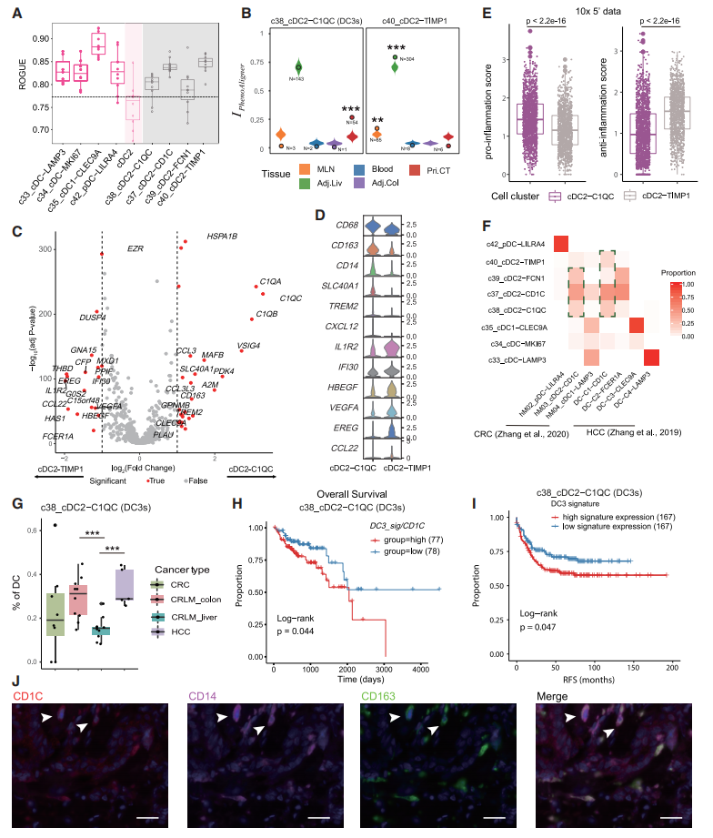 圖6?SPP1+腫瘤相關(guān)巨噬細(xì)胞的作用