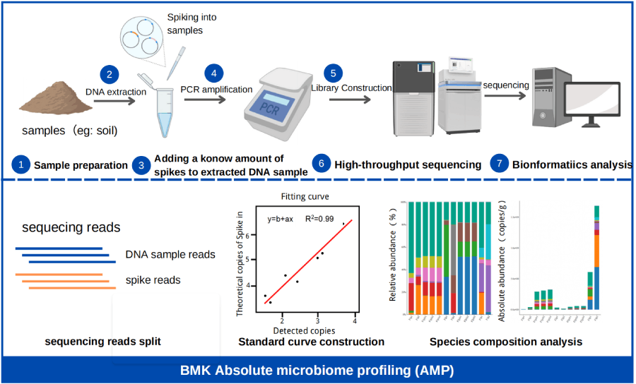 百邁客微生物絕對定量技術路線 百邁客微生物絕對定量技術路線