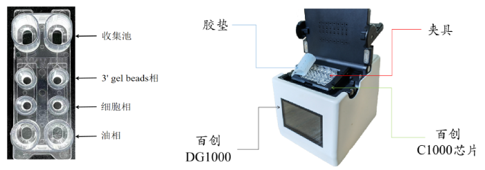 圖1：百創(chuàng)C1000芯片結(jié)構(gòu)（左圖）；百創(chuàng)DG1000微液滴生成儀（右圖）
