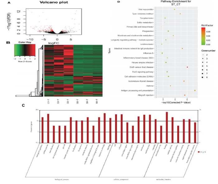 圖 3 黃河魚新品與對照組腸道轉(zhuǎn)錄組 DEGs 分析