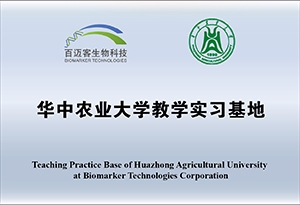 網(wǎng)站牌匾 網(wǎng)站牌匾