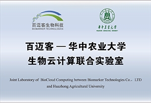 網(wǎng)站牌匾 網(wǎng)站牌匾