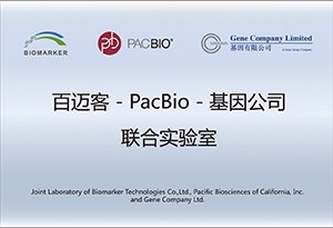 網(wǎng)站牌匾 網(wǎng)站牌匾