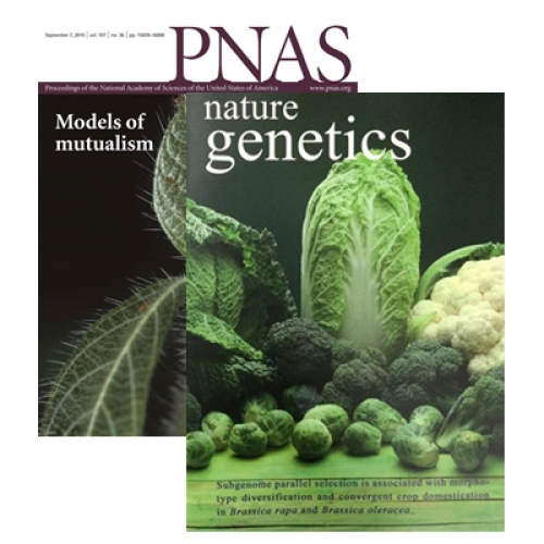 36020170502173230245_ 36020170502173230245_