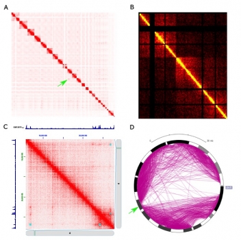 f791dcf4-c960-482f-8306-b5d1fff35611 f791dcf4-c960-482f-8306-b5d1fff35611